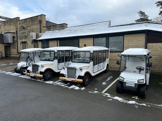 golf buggy service, service, lithium vehicle service