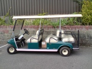 Golf buggy customers
